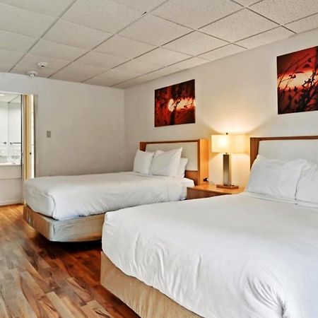 White Haven Mountain Laurel Resort מראה חיצוני תמונה