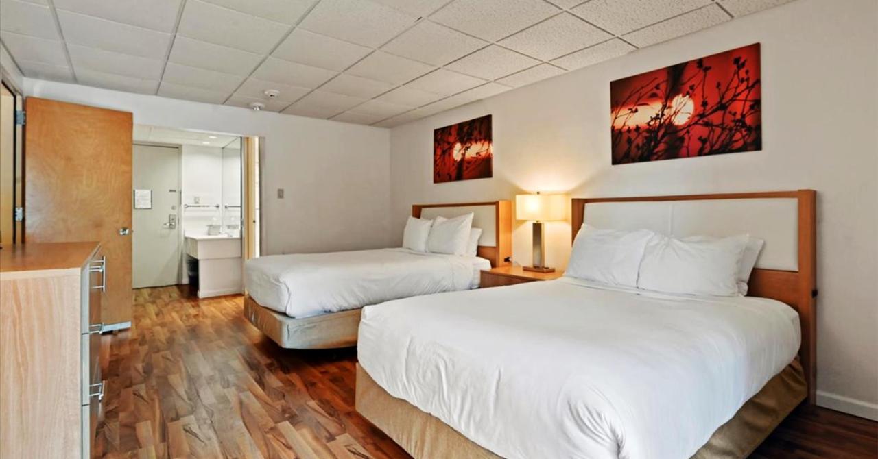White Haven Mountain Laurel Resort מראה חיצוני תמונה