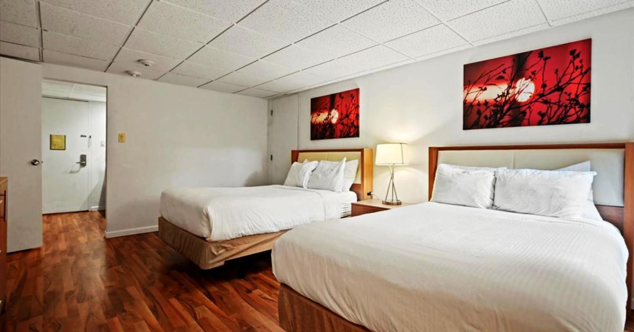 White Haven Mountain Laurel Resort מראה חיצוני תמונה
